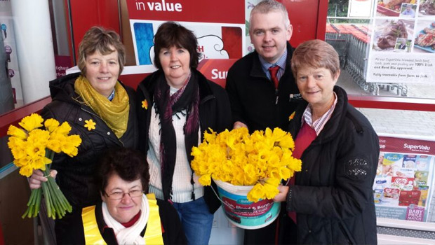 Daffodil Day Irish Cancer Society